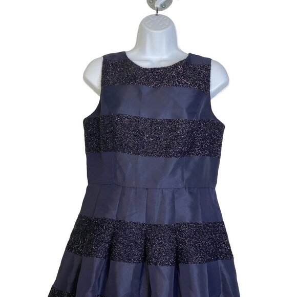 Tommy Hilfiger Womens A Line Dress Navy Striped Pleated Shimmer Sleeveless SZ 6 - Picture 2 of 9